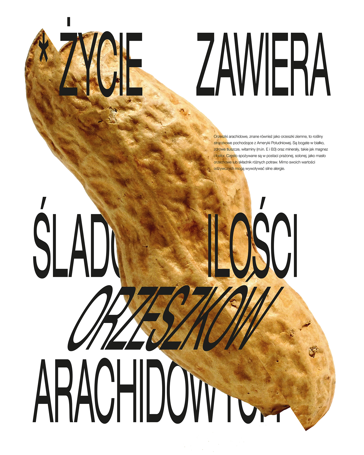 życie zawiera śladowe ilości orzeszków arachidowych | konrad roche